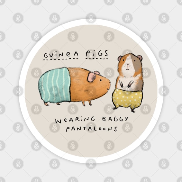 Guinea Pigs Wearing Baggy Pantaloons Magnet by Sophie Corrigan